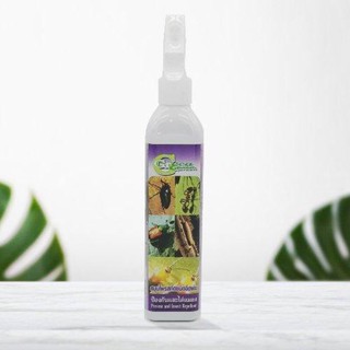 สมุนไพรสกัดป้องกันและไล่แมลง Foggy300ml (Prevent and Insect Repellent) Green Garden