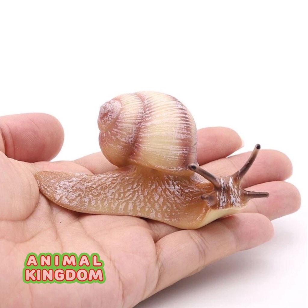 Animal Kingdom โมเดลสัตว์ Snail หอยทาก ครีม ขนาด 9.10 CM (จากหาดใหญ่)