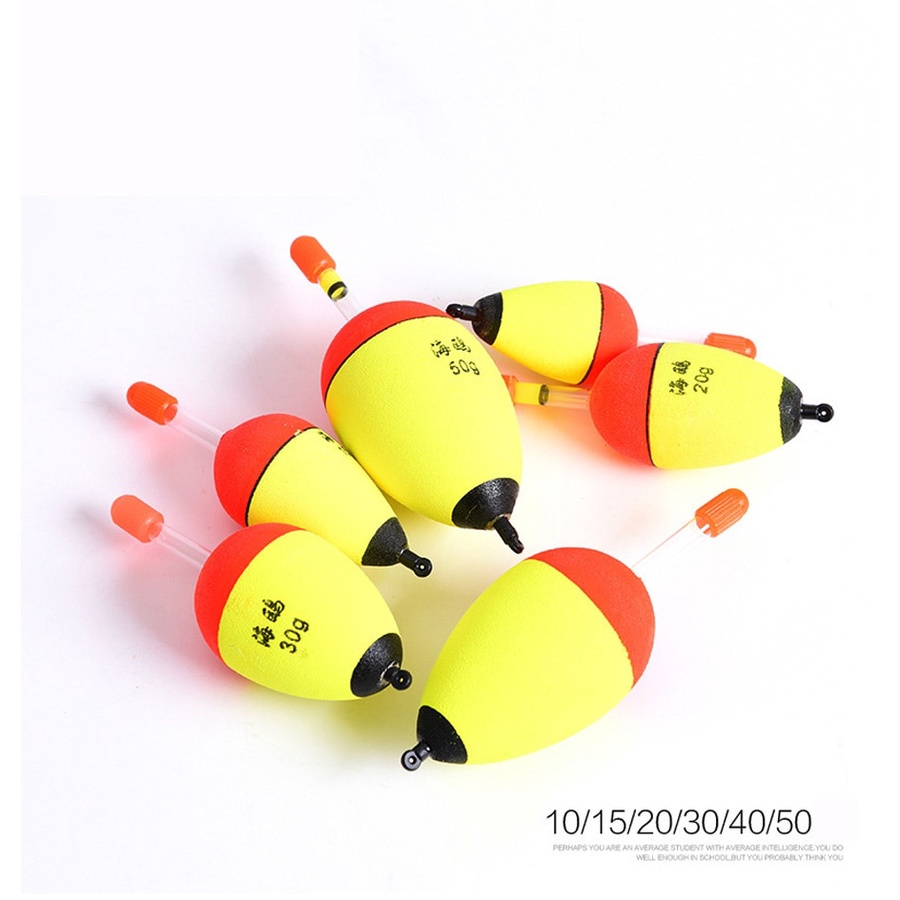 ทุ่นลอยน้ํา EVA เรืองแสงในที่มืด 10 กรัม - 50 กรัม อุปกรณ์เสริม สําหรับตกปลา 10 ชิ้น ต่อล็อต