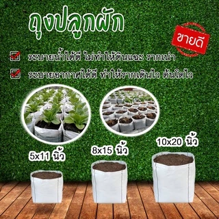ถุงปลูกผัก ตราแสนดี ระบายน้ำได้เอง ไม่ต้องเจาะรู ใช้ทนนาน​ถึง 8​ ปี
