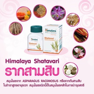 Shatavari Himalaya (รากสามสิบ) 🛒ปริมาณ 60 แคปซูล