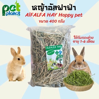 หญ้าอัลฟาฟ่า 1  Alfalfa Hay หญ้ากระต่าย อาหารกระต่าย ขนมกระต่าย ขนาด 400 กรัม