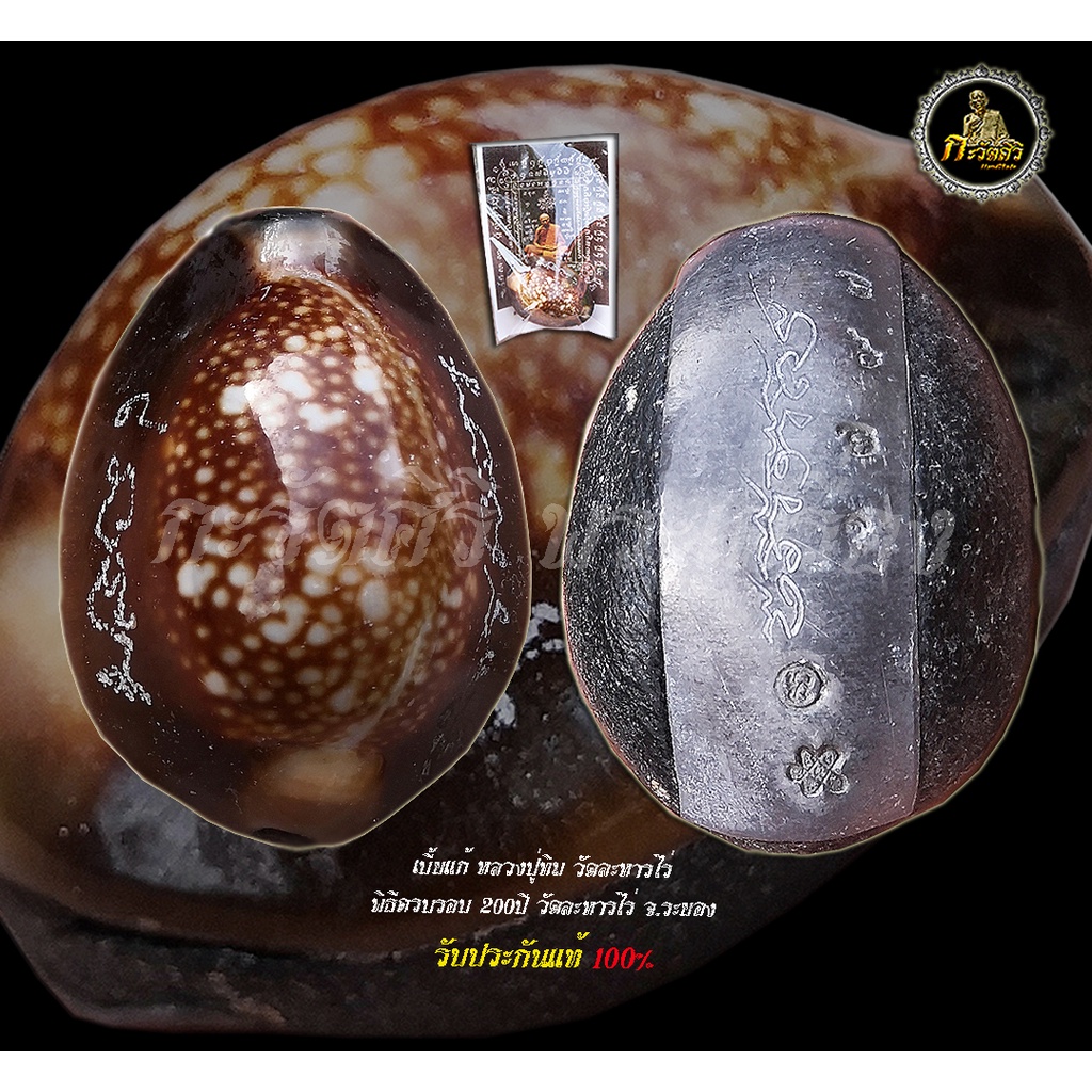 เบี้ยแก้หลวงปู่ทิม อิสริโก พิธี 200 ปี วัดละหารไร่ ปี 54 จารย์มือรอบตัว รับประกันแท้ 100%