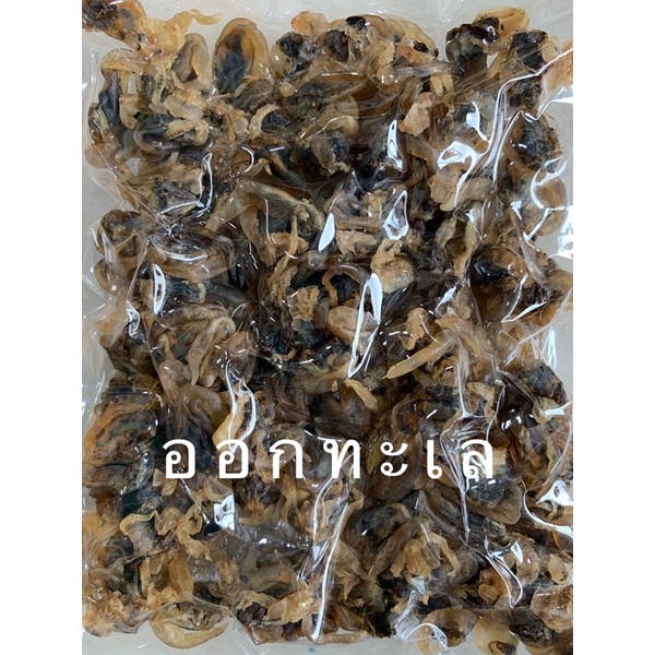 หอยกลม-แดดเดียว และ หอยกลมหวาน ดอนหอยหลอด แม่กลอง หอยทำมาใหม่ๆๆ