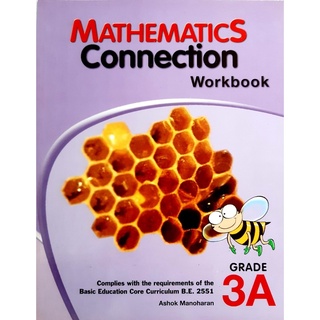 9789812851086: Mathematics Connection 3A Workbook