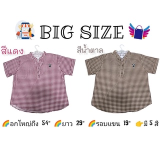 🌈🌈สินค้าพร้อมส่ง🌈🌈 เสื้อสาว BIG SIZE เสื้อไซส์ใหญ่ อกใหญ่ได้ถึง 54" มี 5 สี