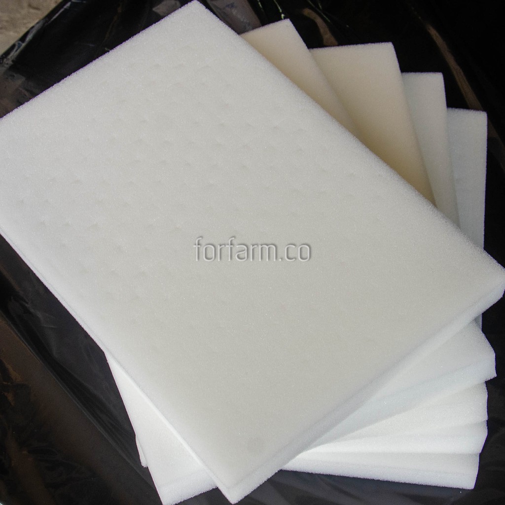 ฟองน้ำเพาะเมล็ดผักไฮโดรโปนิกส์ แพ็คละ 10 แผ่น แบบกรีดช่องพร้อมใช้งาน - รูปที่ 2