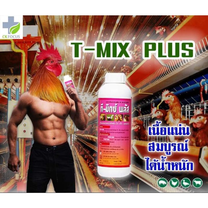 ที​ มิ​กซ์​พลัส(T Mix​ Plus)วิตามินรวม ราคา ถูกที่สุด ดีลบีเคเค แกลเลอรีภาพที่ 3