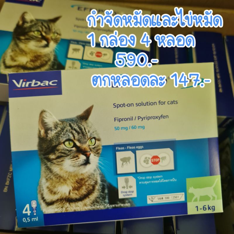 #EffiproDuoSpotOn #กำจัดเห็บหมัดแมว #ยาหยดเห็บหมัดแมว #ยับยั้งการเพิ่มจำนวนหมัด #ป้องกันเห็บหมัด