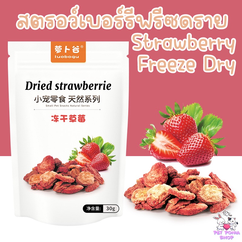 (1แถม1)‼️สตรอเบอร์รีฟรีซดราย100% สำหรับสัตว์ฟันแทะ Strawberry Freeze Dry