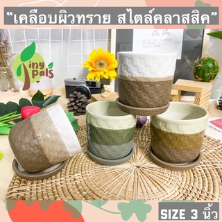 SALE !! กระถางแคคตัส กระถางเซรามิค เคลือบผิวทราย โทนน้ำตาล เนื้อดีแข็งแรง งานเกรด A ระบายน้ำดี กระถางต้นไม้