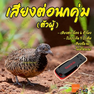 เสียงต่อ นกคุ่ม ตัวผู้ ยาว6ชั่วโมง ไม่มีโฆษณา แฟลชไดร์ฟ (Flash Drive) มีเก็บเงินปลายทาง