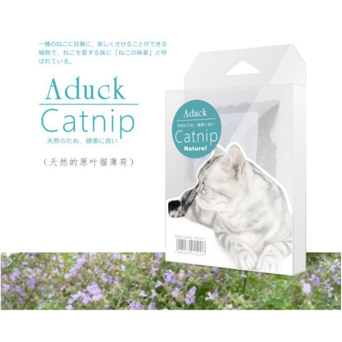 アイテムID:5186218の画像1枚目