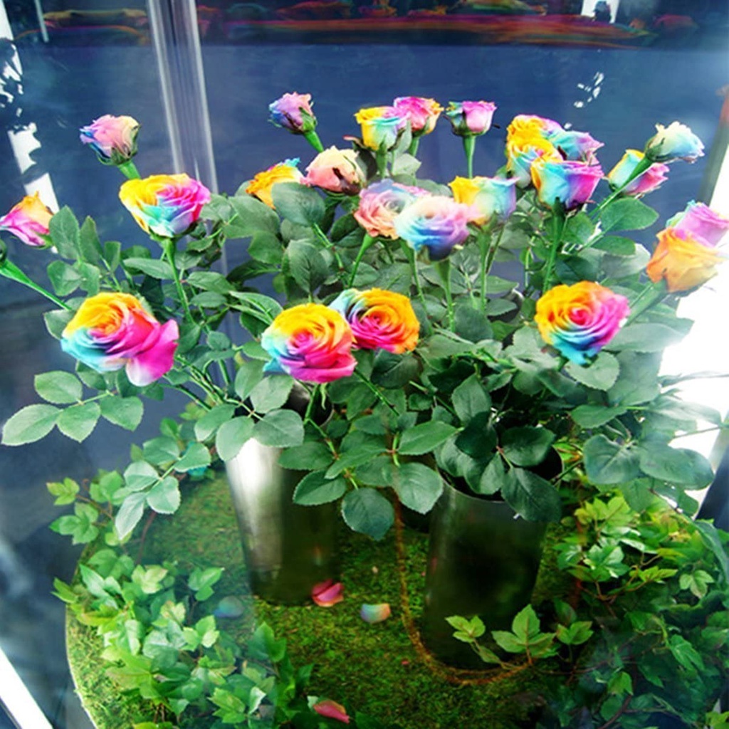 My Image 25