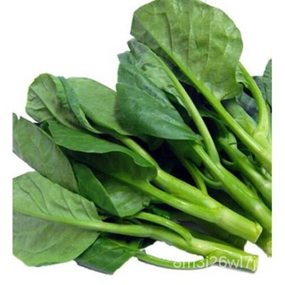 100เมล็ดจีนผักคะน้าจีน broccoli Gai Lan Choi ผักสหรัฐอเมริกา O4UX