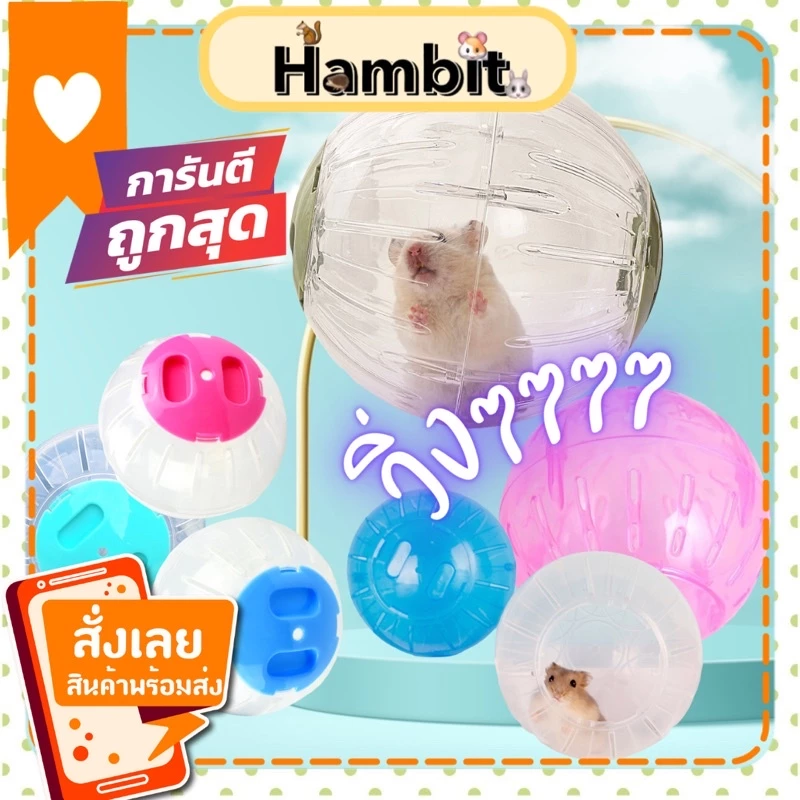 Hambit. ลูกบอลวิ่งแฮมสเตอร์ ลูกบอลแฮมสเตอร์