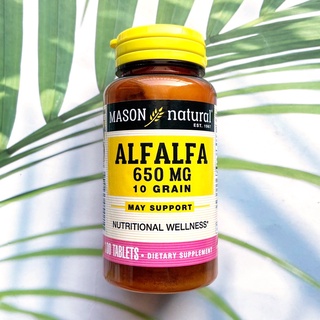 อัลฟัลฟา Alfalfa 650 mg 10 Grain 100 Tablets (Mason Natural®) อุดมไปด้วยวิตามิน แร่ธาตุ จากพืชตระกูลถั่วขนาดเล็ก