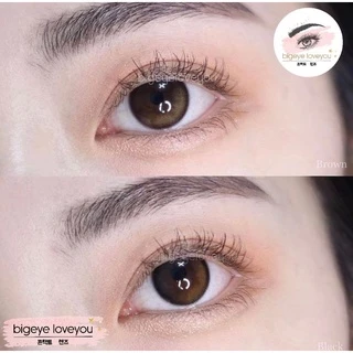 คอนแทคเลนส์🌈Costa Chic🌈 Brown / Gray (Luxzylens) ขนาดมินิ💖ขายดี🍭