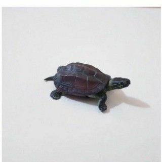 กาชาปองเต่างานญี่ปุ่น Red turtle.