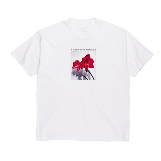 [S-5XL] เสื้อยืดแขนสั้น พิมพ์ลายดอกลิลลี่ Polar Skate Co Miraculous แฟชั่นคู่รัก