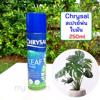 สเปรย์พ่นใบมัน Chrysal Leafshine 250ml ของแท้ 100% นำเข้าจากเนเธอร์แลนด์