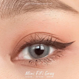 Mini fifi gray พร้อมส่งสายตาปกติและค่าสายตา (kittykawaii)