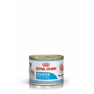 Royal Canin Starter Mousse MOTHER&amp;BABY DOG อาหารสำหรับลูกสุนัขและแม่สุนัขตั้งท้อง