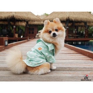 Petcloths -Doggydolly  เสื้อผ้าแฟชั่น เสื้อผ้าสัตว์เลี้ยง เสื้อผ้าหมาแมว เสื้อยืด เสื้อเชิ๊ต S044