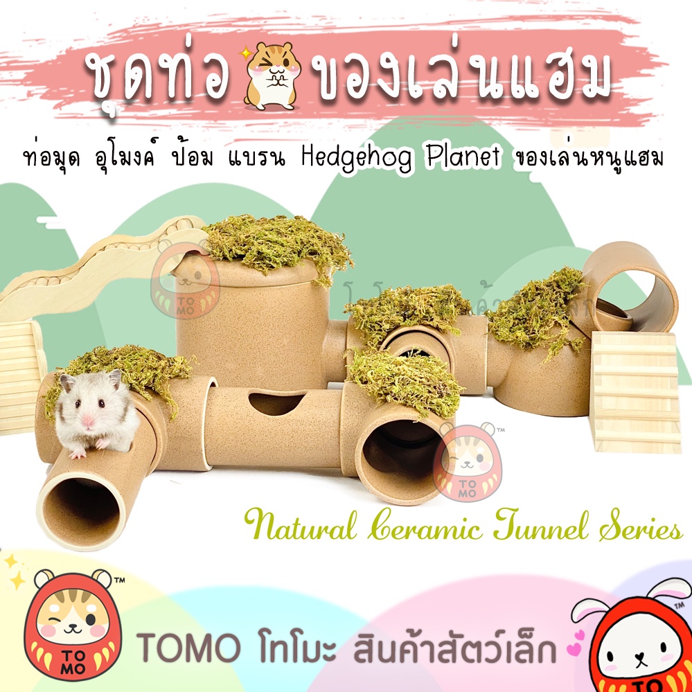 ร้านโทโมะ ชุดท่อเซรามิค Hedgehog Planet ท่อลอด อุโมงค์ ป้อม ของเล่น ของแต่งกรง หนูแฮมสเตอร์