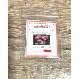 เมล็ดพันธุ์ ดอกเทียนซ้อนด่าง 100 เมล็ด ดอกเทียนด่าง ชมพู/ขาว ✅ราคาถูก🪴ปลูกง่าย ดอกสวยมาก🔥ซื้อ10แถม1 คละได้🔥