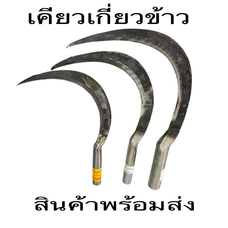 เคียว เคียวเกี่ยวข้าว เคียวเกี่ยวหญ่าใช้งานทั่วไปมี2ขนาดเล็กและใหญ่