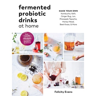 Fermented Probiotic Drinks at Home : Make Your Own Kombucha, Kefir, Ginger Bug, Jun, Pineapple Tepache, Honey Mead, Beet