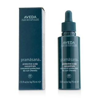 AVEDA - Pramasana Protective Scalp Concentrate