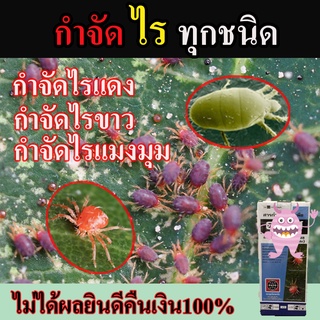 สินค้าขายดี! สารกำจัดไรแดง ยากำจัดไรแดง ไรแดง กำจัดไรขาว สารกำจัดศัตรูพืช กำจัดแมลง กำจัดไร ป้องกันไรแดงในทุเรียน