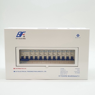 BFI ตู้คอนซูเมอร์(สำเร็จรูป) 10ช่อง 63A PSC-10W