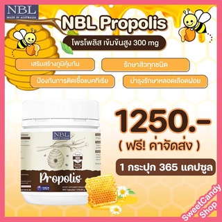 ใหม่!! NBL propolis โพรโพลิส รักษาสิว เส้นเลือดฝอย ป้องกันการติดเชื้อแบคทีเรีย เสริมภูมิคุ้มกัน 1 กระปุก 365 แคป ส่งฟรี