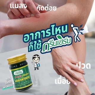 พร้อมส่ง ยาหม่องเสลดพังพอน ครีมยาหม่องน้ำ ยาหม่องสมุนไพร หอมสดชื่น