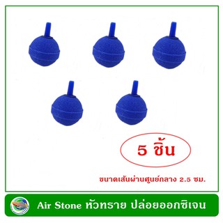 หัวทราย แบบละเอียด อย่างดี 5 ชิ้น ขนาด 2.5 ซม.