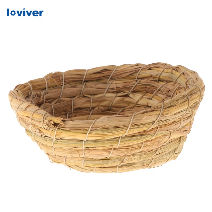 Loviver รังนกแก้ว นกพิราบ นกนางแอ่น และอื่น ๆ