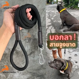 SinghThong สายจูงสุนัข พันธุ์กลาง-ใหญ่ สายจูงหมา จูงสัตว์เลี้ยง หลายสี แข็งแรง 1.5 - 5 เมตร