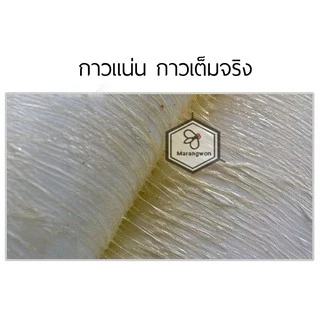 [ของแท้ รุ่นกระดาษ] กาวดักแมลงวัน ค่าส่งถูก! แน่นเต็มแผ่น ติดแมลงวัน มัดละ100แผ่น ส่งจากกรุงเทพ