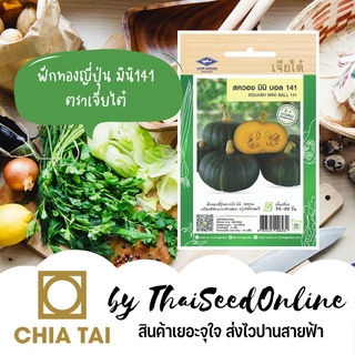 CTF1 ซฟ เมล็ดพันธุ์ ฟักทองญี่ปุ่นมินิ141 สควอช ตราเจียไต๋