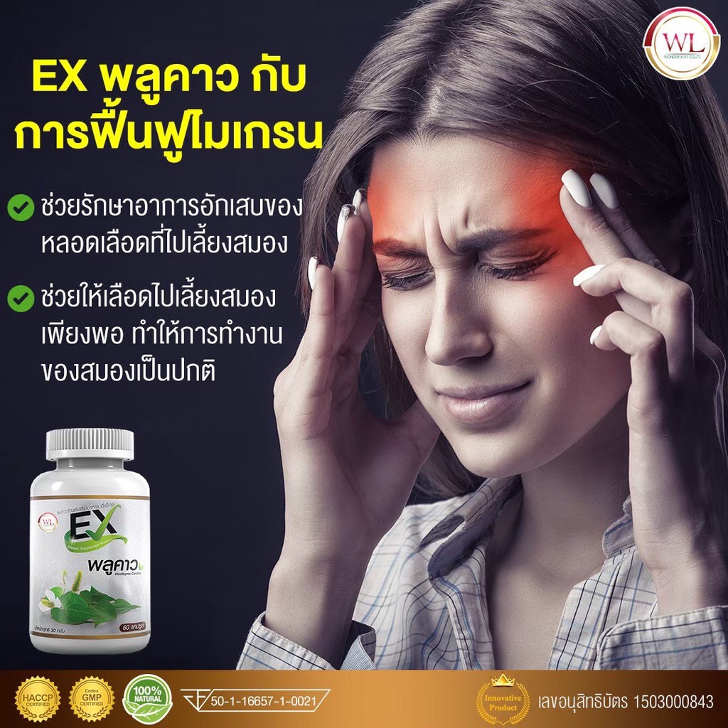 EX พลูคาว สมุนไพรไทย ช่วยลดอาการปวดหัวไมเกรน ช่วยให้เลือดไหลเวียนดีขึ้น กระปุกเล็กขนาด 30 แคปซูล
