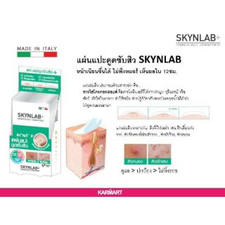 ขายยกกล่อง แผ่นแปะดูดซับสิว SKYNLAB (1×12)