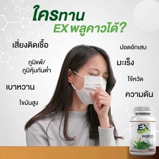 💥2 แถม 1💥EXพลูคราว พลูคราวสกัดของแท้100% บรรจุ 30 เม็ด รับประกันของแท้ 100%