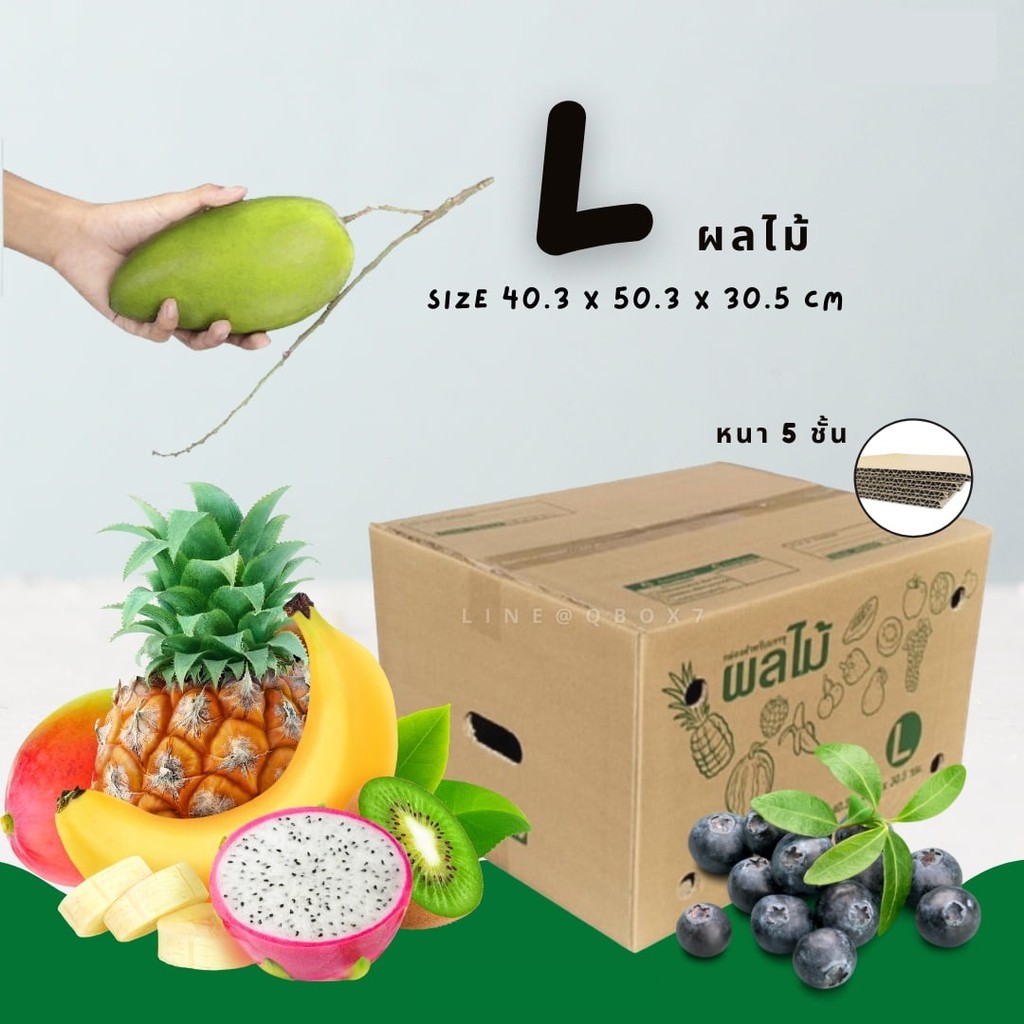 รายการ 91+ ภาพ ผลไม้แพ็คกล่องขาย ใหม่ที่สุด