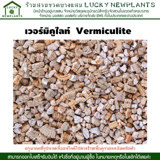 เวอร์มิคูไลท์  Vermiculite ลิตรละ 50 บาท วัสดุปลูกผักไฮโดรโปนิกส์