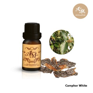 Aroma&amp;More  CAMPHOR White น้ำมันหอมระเหยแคมเฟอร์ ไวท์ (การบูร)100%, จีน/Essential Oil 100% China 10/30ML