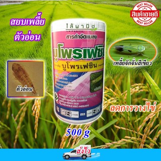 ยาคุมไข่เพลี้ย ขนาด 500 กรัม.บูโพรเฟซิน 25% ยาคุมไข่เพลี้ยแมลงปากดูดและตัวอ่อน ชนิดผง เกรดดี เข้มข้นได้ผลดี