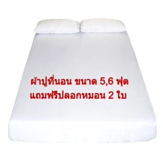 ผ้าปูที่นอน ผ้าปูที่นอนโรงแรม รัดมุม Cotton Slik สีขาว (กันไรฝุ่น) Blue sleep 💎แถมปลอกหมอนในชุด💎